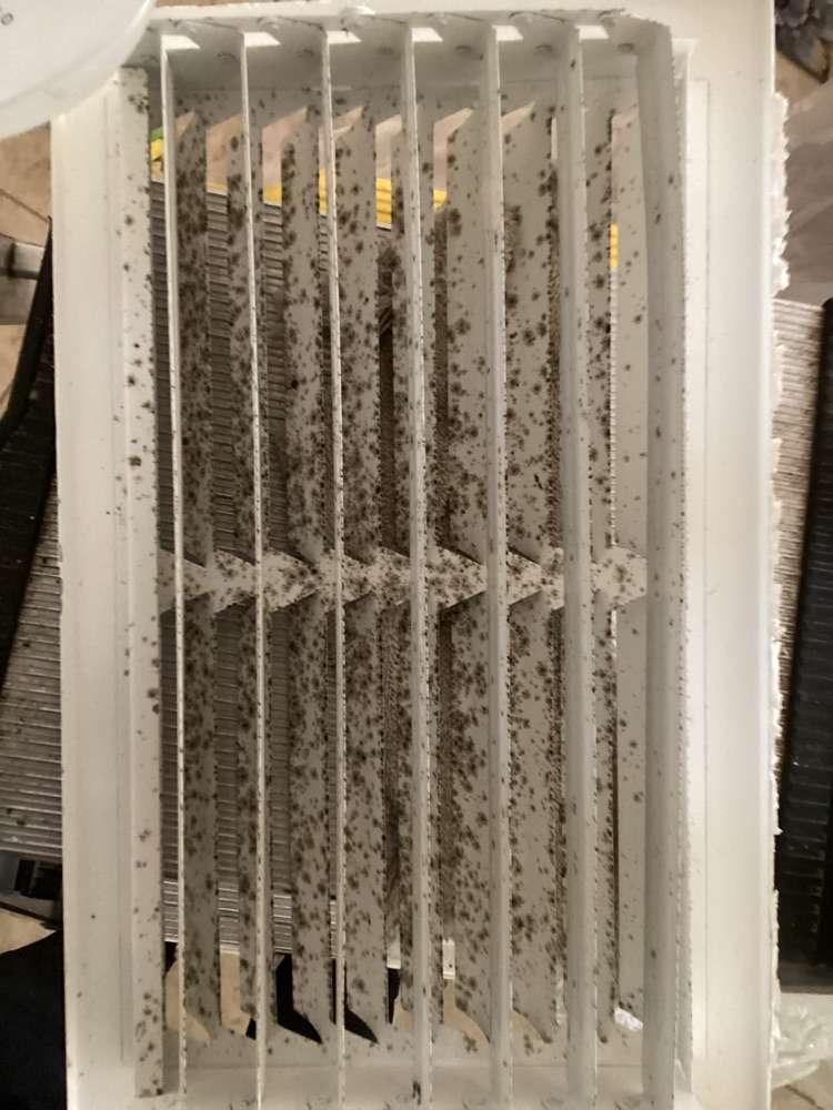 best time for a duct cleaning, Orlando duct cleaning, air duct cleaning orlando