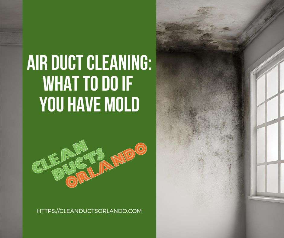 mold, mold issues, air duct cleaning, duct cleaning, air duct cleaning orlando